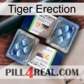 Tiger Erection viagra5